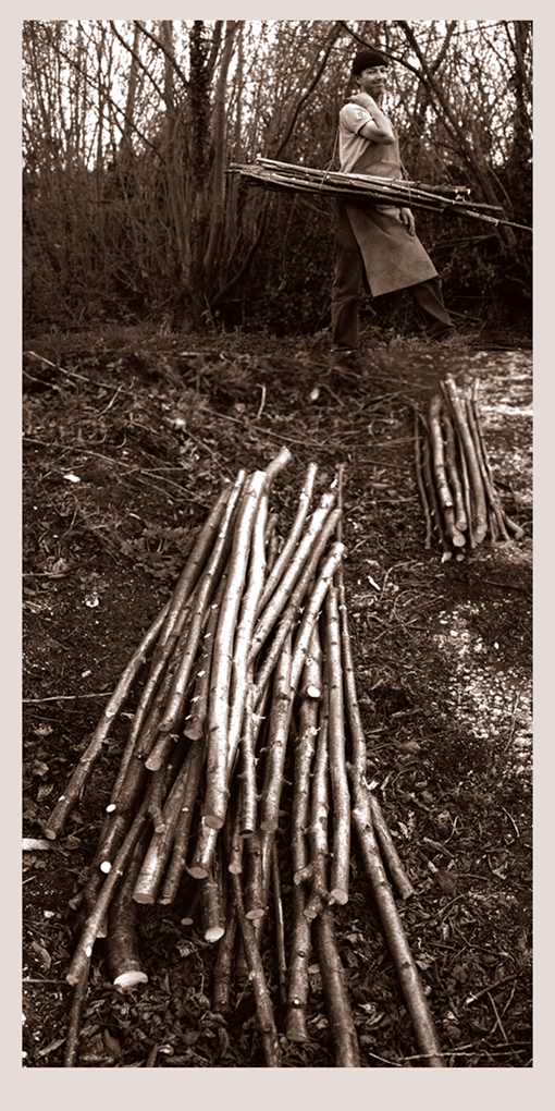 selfie with branches bundle